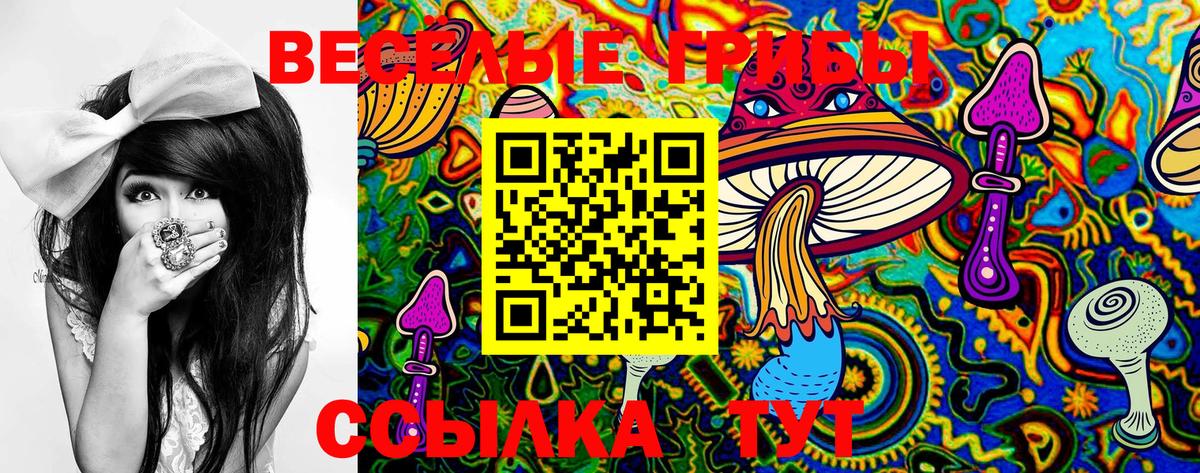 Галлюциногенные грибы мицелий Чистополь